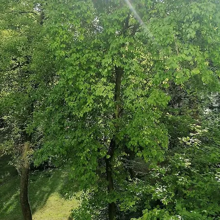 Sunny And Lovely Apartment. Near Chopin Airport! Appartement *